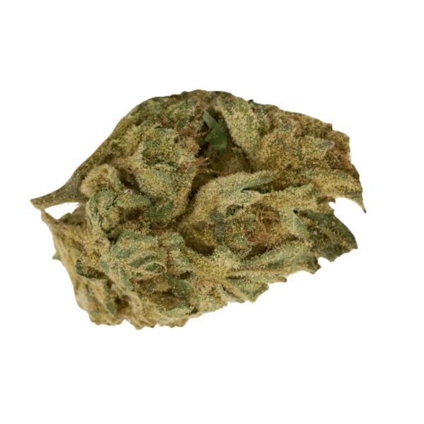 HiSociety 27/1 CAN DEB