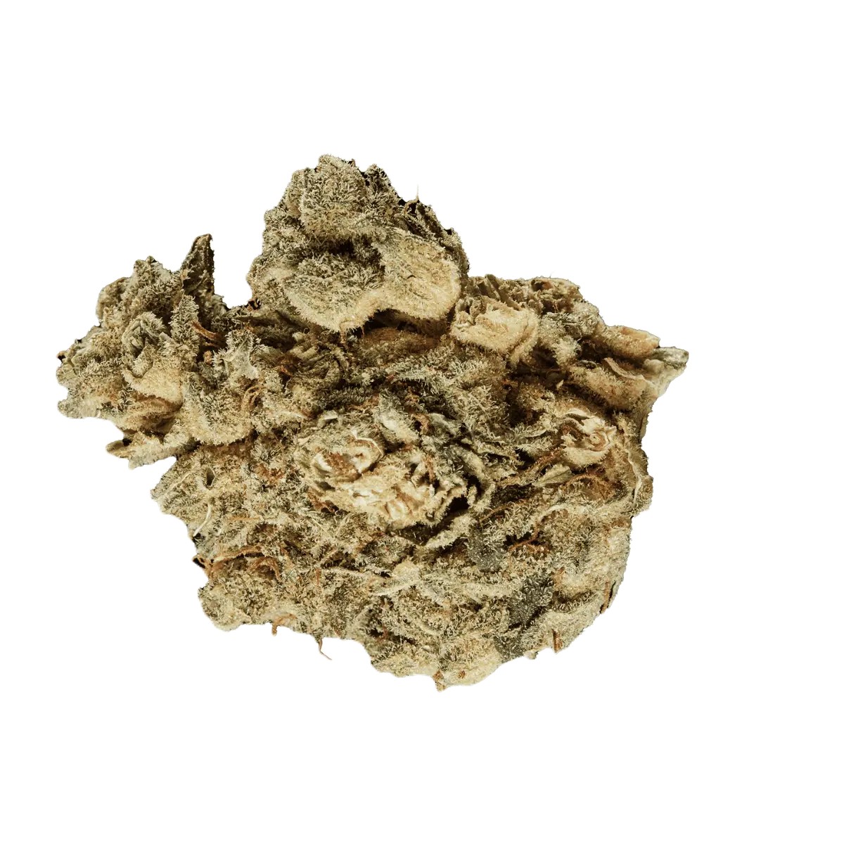 Tilray-Craft-Cannabisblueten-THC28-PPV-Platinum-Pave Tilray Craft THC28 PPV – Bild 1