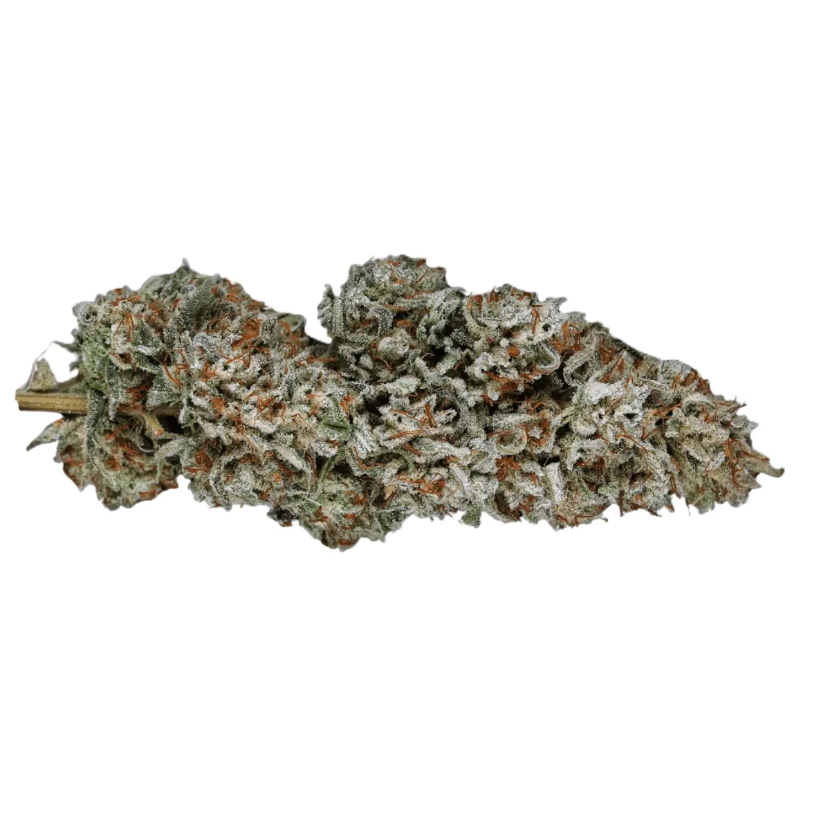 Weeco-PS-251-Pulsar WEECO PS 25/1 – Bild 1