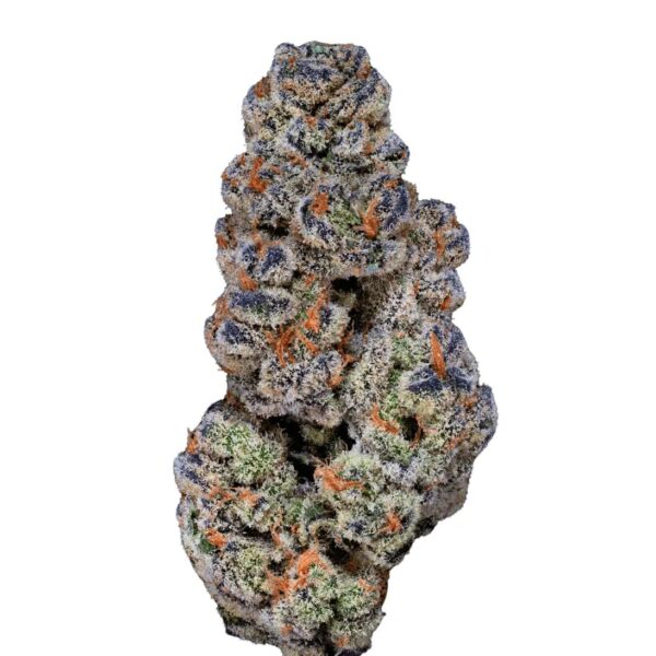 22/1 Amici BH Blueberry Headband