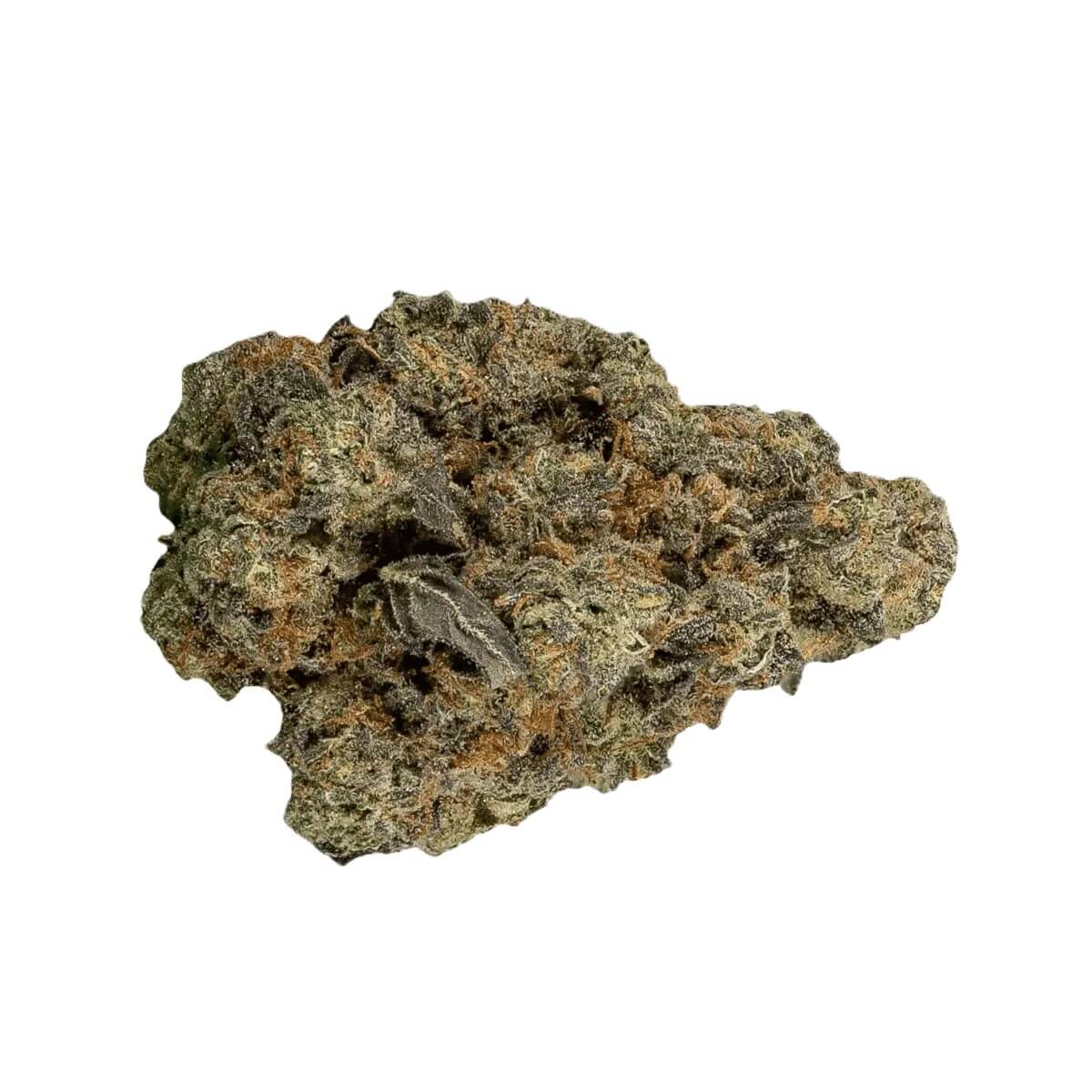 29-1-amici-wc 29/1 Amici WC Wedding Cake – Bild 1