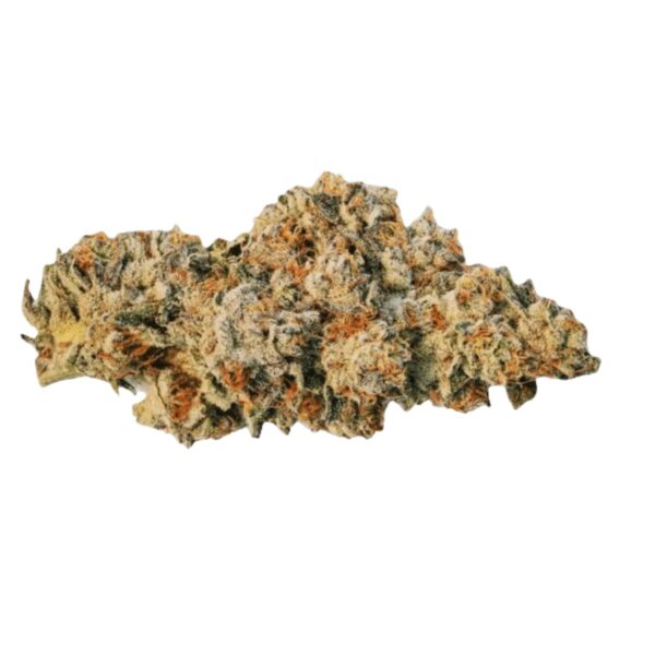 30/1 Amici CRL Crystal Locomotive