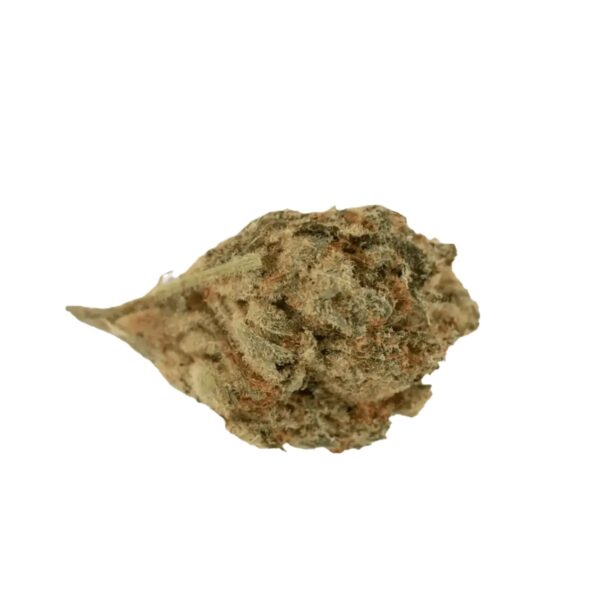 30/1 AMICI SP Scotti´s Purps