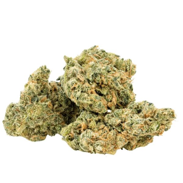 Amici 26/1 UL Ultra Limelight