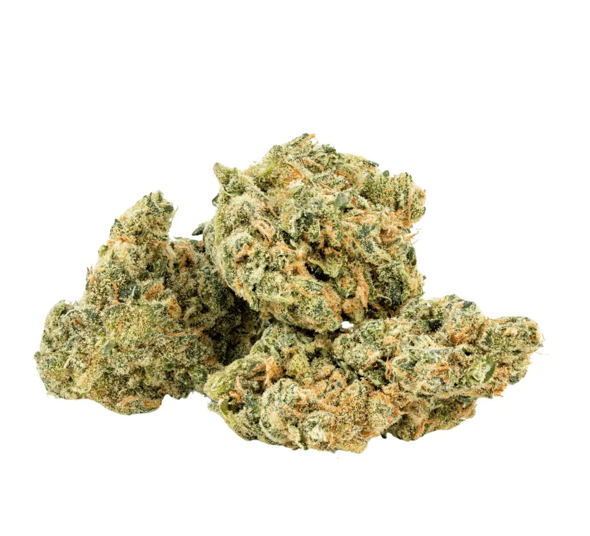 30-1-amici-ul Amici 26/1 UL Ultra Limelight – Bild 1