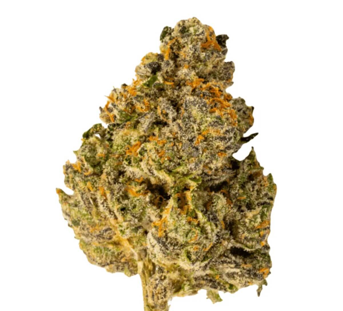 420-compound-20-1-pt-tgy 420 Compound 20/1 PT TGY Tigerz Eye – Bild 1