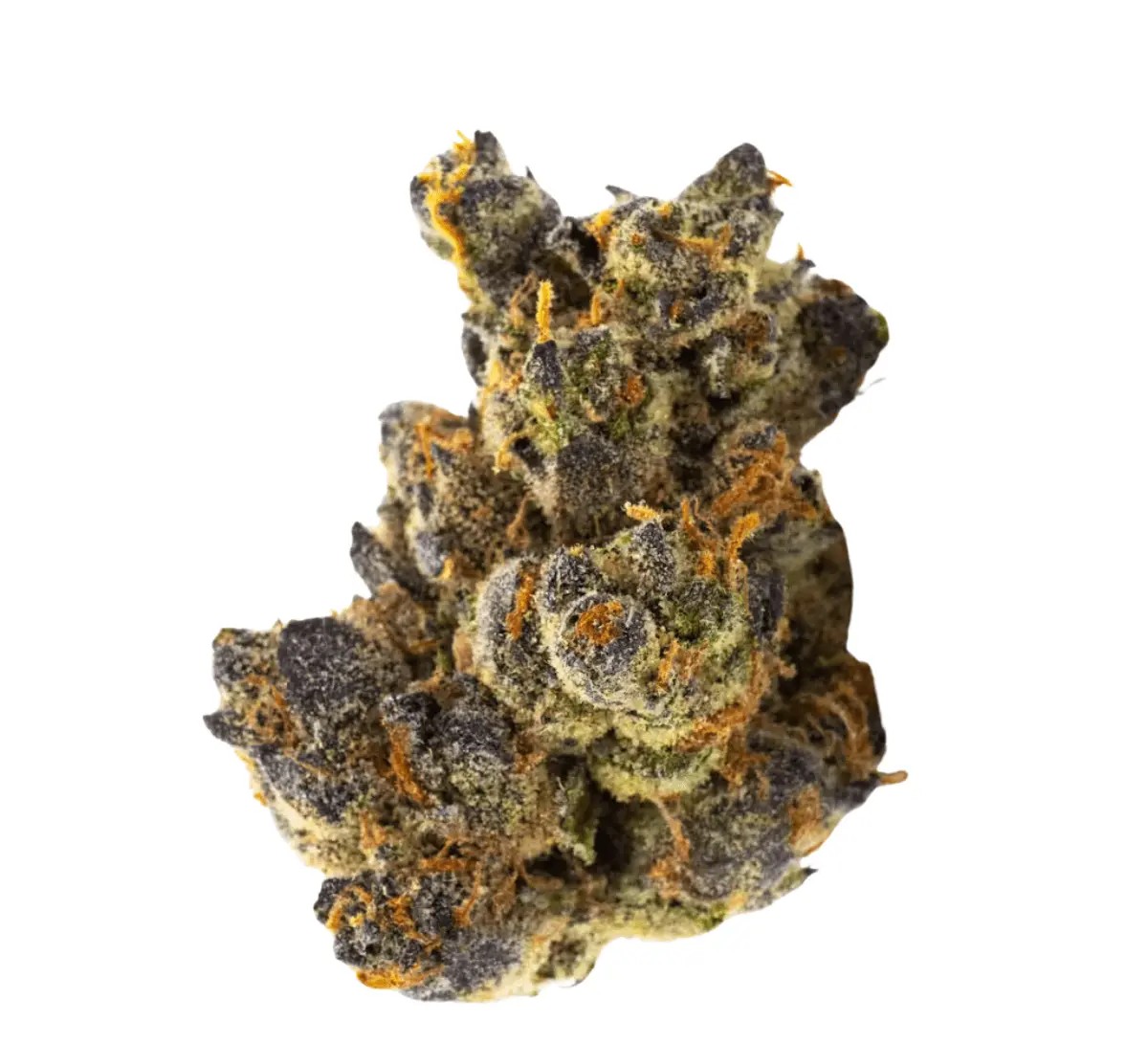 420-compound-30-1-gap 420 Compound 30/1 GAP Gastro Pop – Bild 1