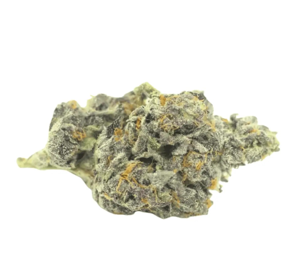 420-compound-30-1-rpv 420 Compound 30/1 RPV Rose Gold Pave – Bild 1