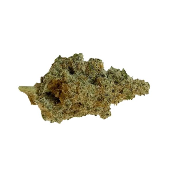 420 Evolution 20/1 CA MAC