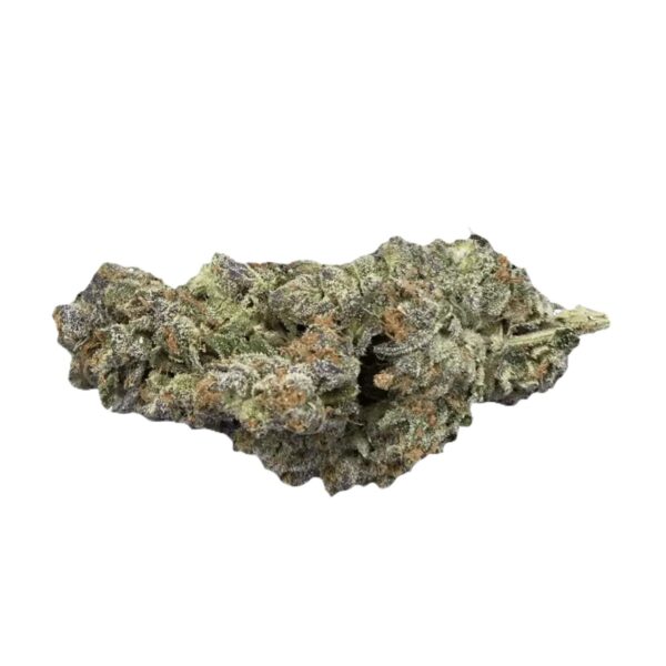 420 Evolution 25/1 CA PLD Plum Driver