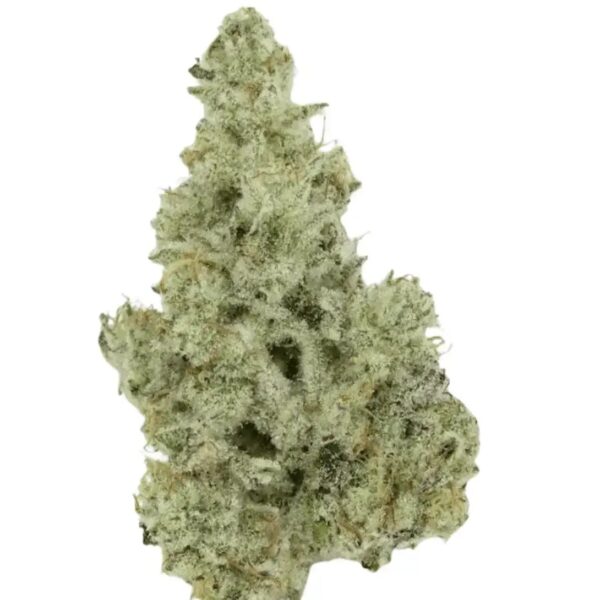 420 Evolution 27/1 CA MMI Miracle Mint