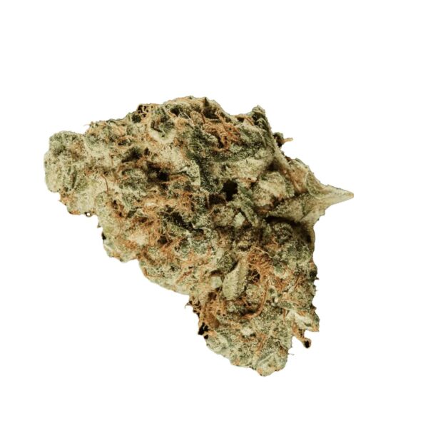 420 Evolution 30/1 CA MSP Masterpiece