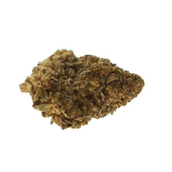 Gestion Cannabec MH 20/1