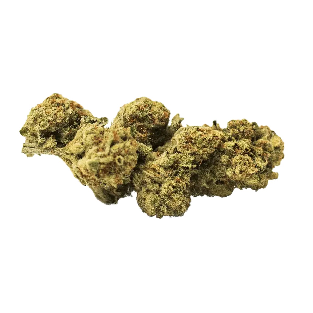 Sumo-PAB-251-Papaya-Bomb Sumo PAB 25/1 – Bild 1