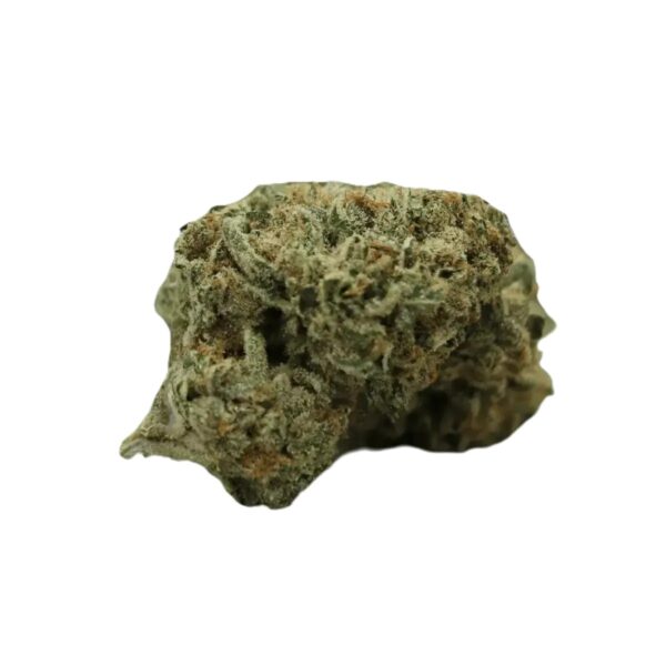 Weeco 23/1 KL Prince Louis