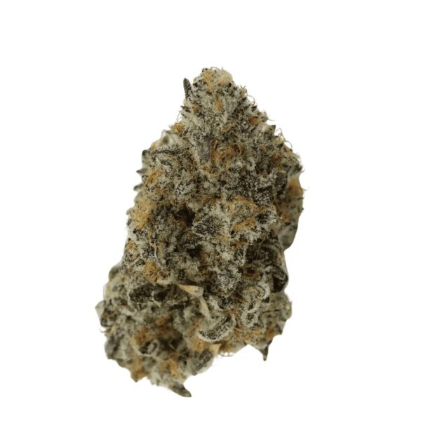 ADREX 24 CSC CAN Chem Scout Cookies