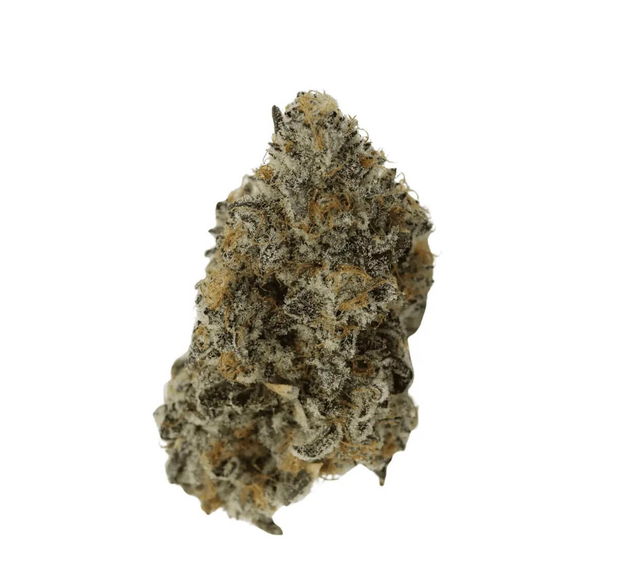 adrex-24-csc-can ADREX 24 CSC CAN Chem Scout Cookies – Bild 1