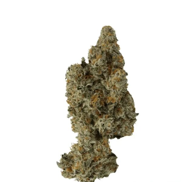 Mother 26 GF CAN Garlic Funk