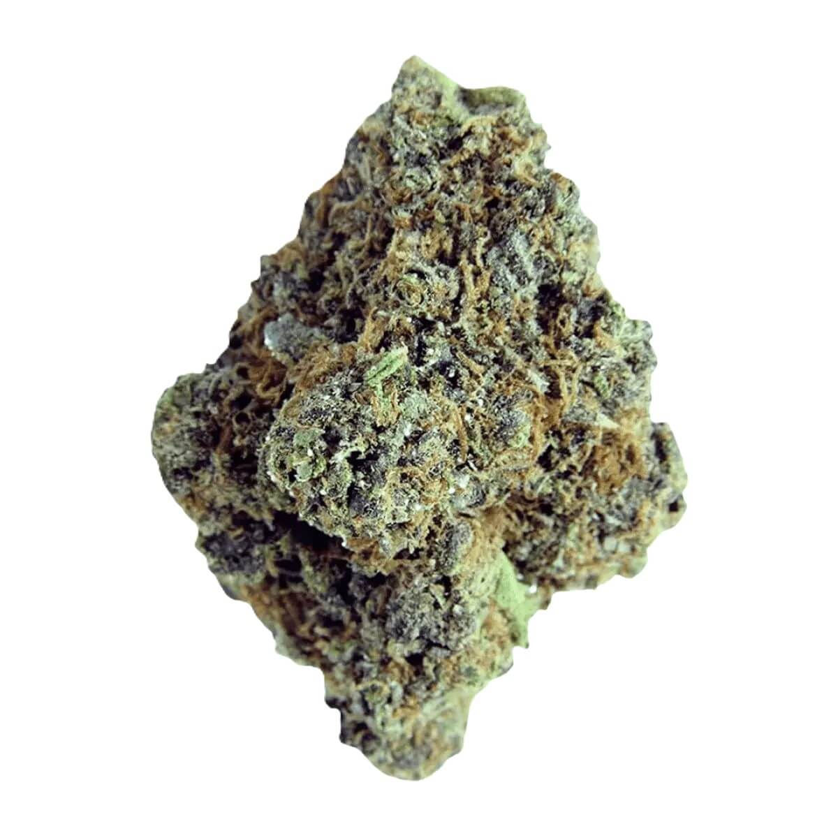 adrex-mother-ais-can-22-1 Mother AIS CAN 22/1 Apes in Space – Bild 1