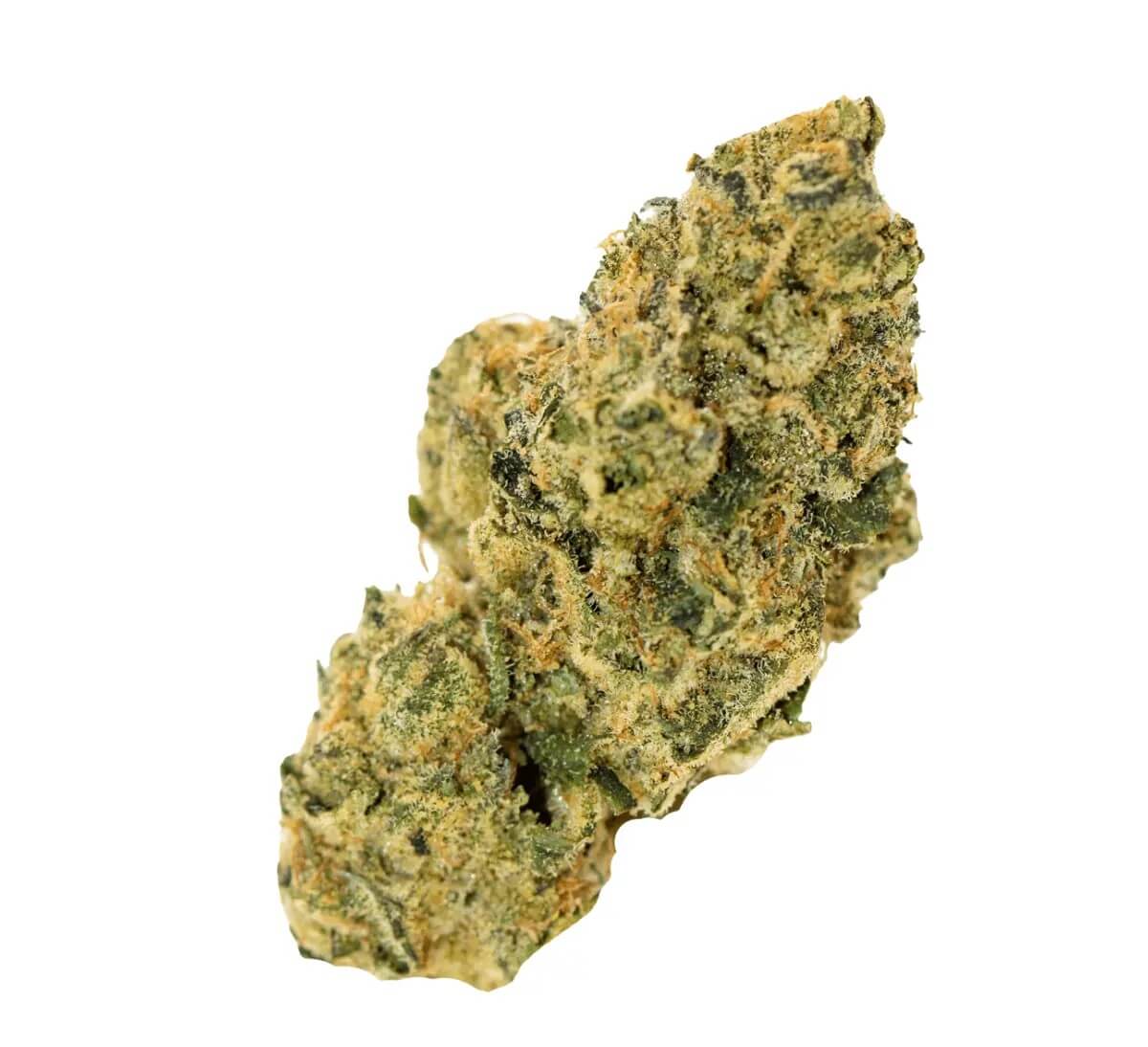 all-nations-fg-25-1 All Nations FG 25/1 Frosted Gelato – Bild 1