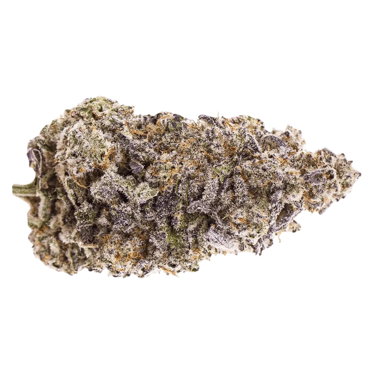 all-nations-md-21-1 All Nations Pretty Smalls MD 21/1 Mac Daddy – Bild 1