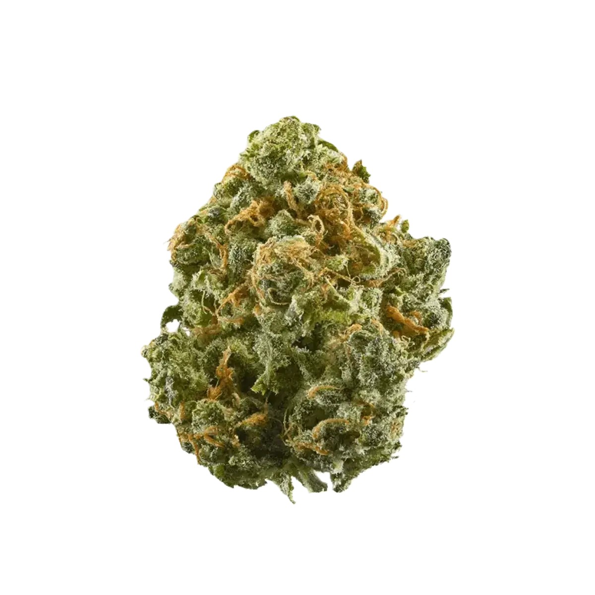 all-nations-sf-18-1 All Nations SF 18/1 Mandarin Cookies – Bild 1