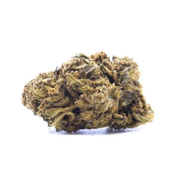 Aurora 22/1 Delahaze