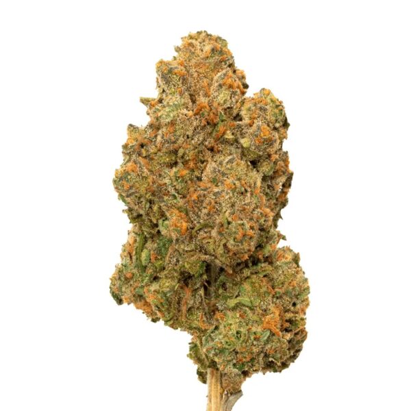 avaay 20/1 PNK Pineapple Nuken