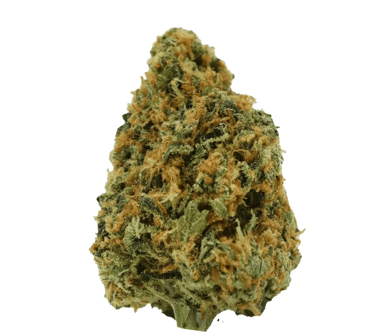 avaay-23-1-ck avaay simple 23/1 CRE Creamy Kee's No.5 – Bild 1