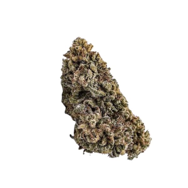 avaay 24/1 BPM Baby Pam