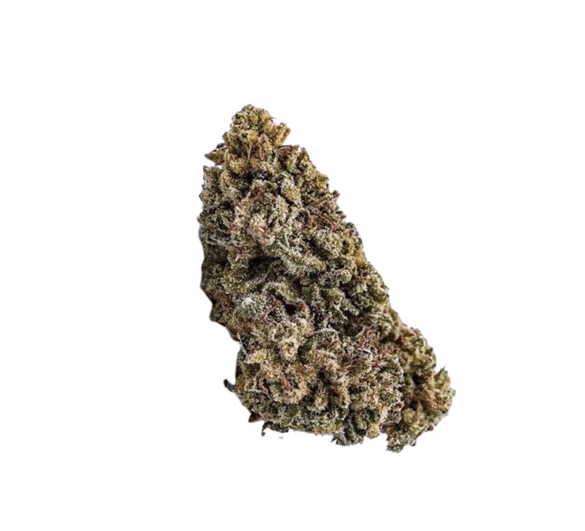 avaay-24-1-bpm avaay 24/1 BPM Baby Pam – Bild 1