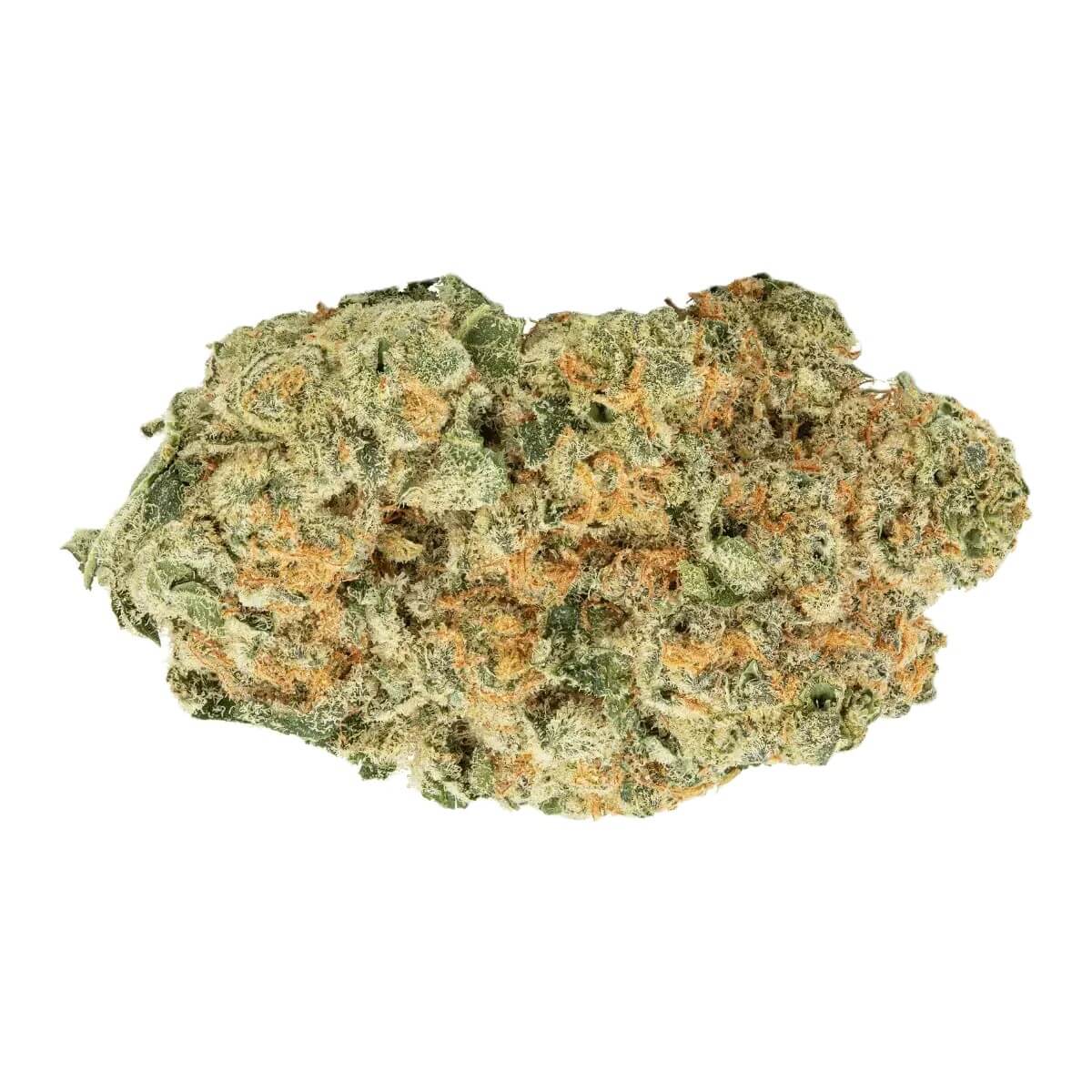 avaay-24-1-mim avaay 24/1 MIM Midnight Mimosa – Bild 1