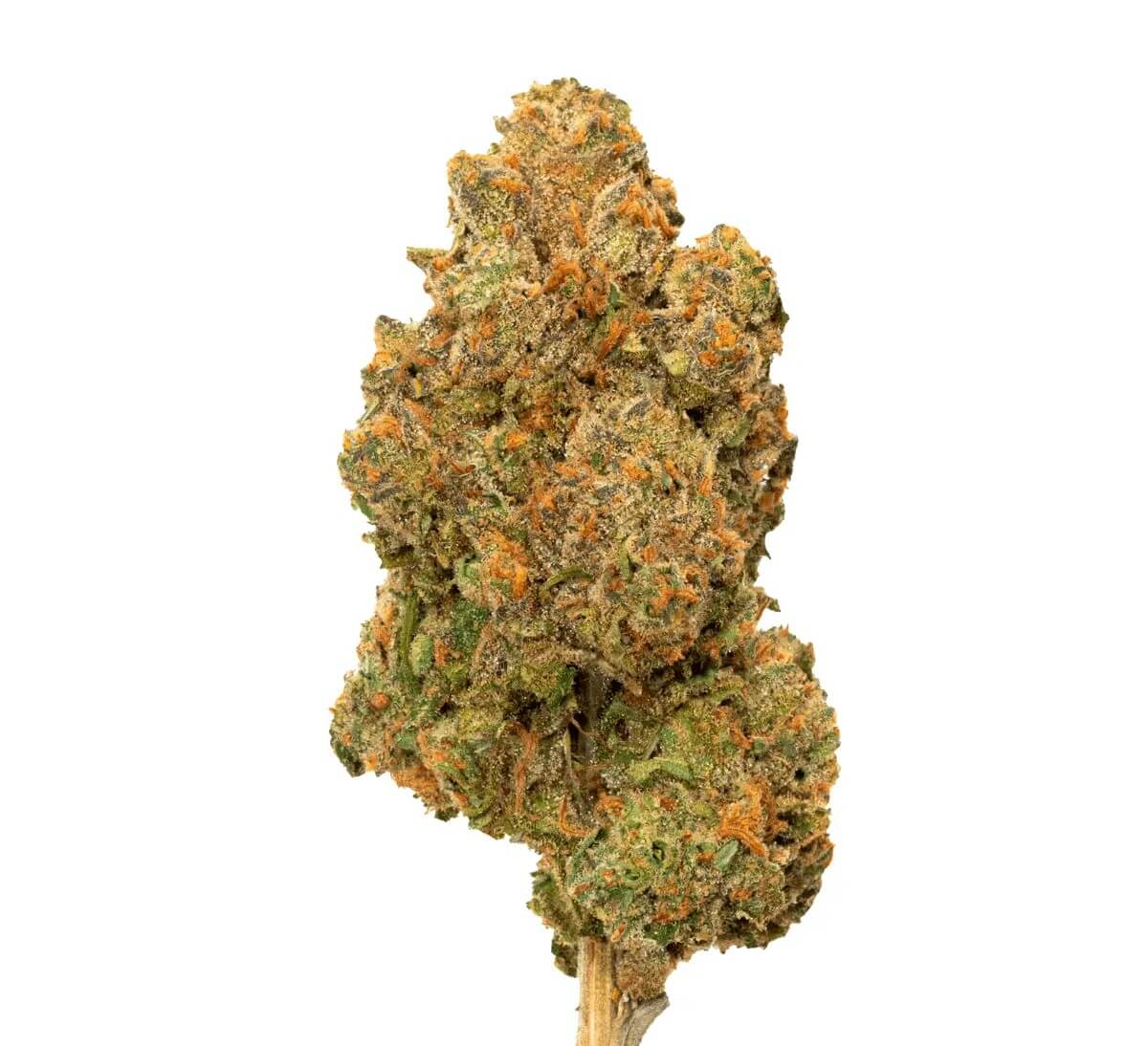 avaay-24-1-pnk avaay 24/1 PNK Pineapple Nuken – Bild 1