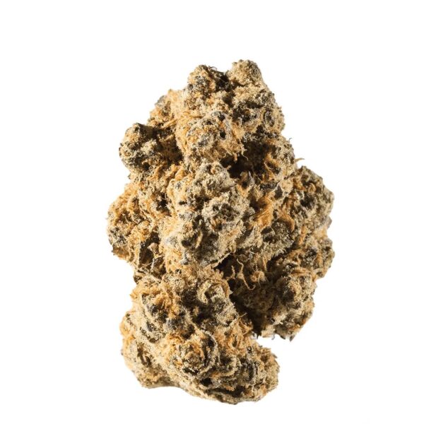 avaay 24/1 DID Do-Si-Dos