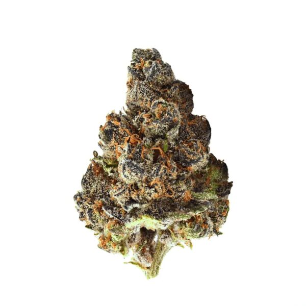 avaay 28/1 GNC Grapes and Cream