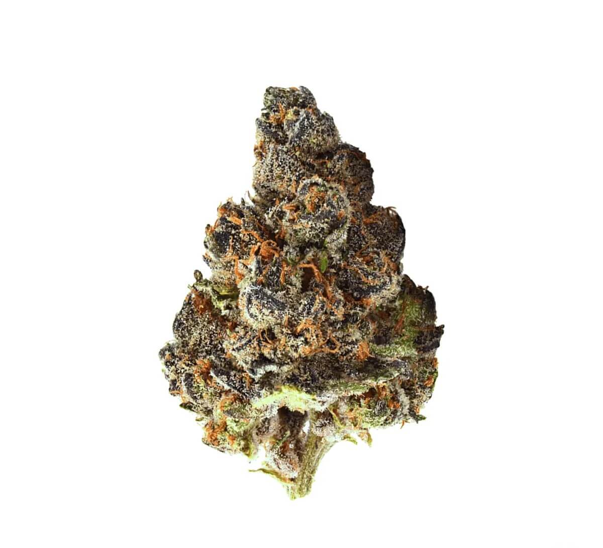 avaay-28-1-gnc avaay 28/1 GNC Grapes and Cream – Bild 1