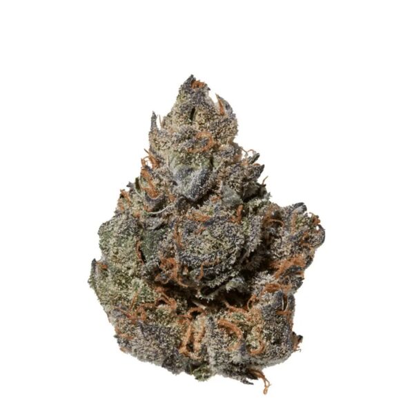 avaay 29/1 CP Candy Pave