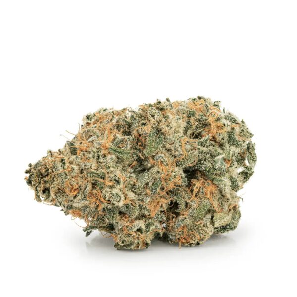 avaay 29/1 SCP Sour Cherry Punch