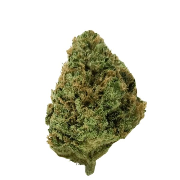 avaay Signature 25/1 HYP Hyperion