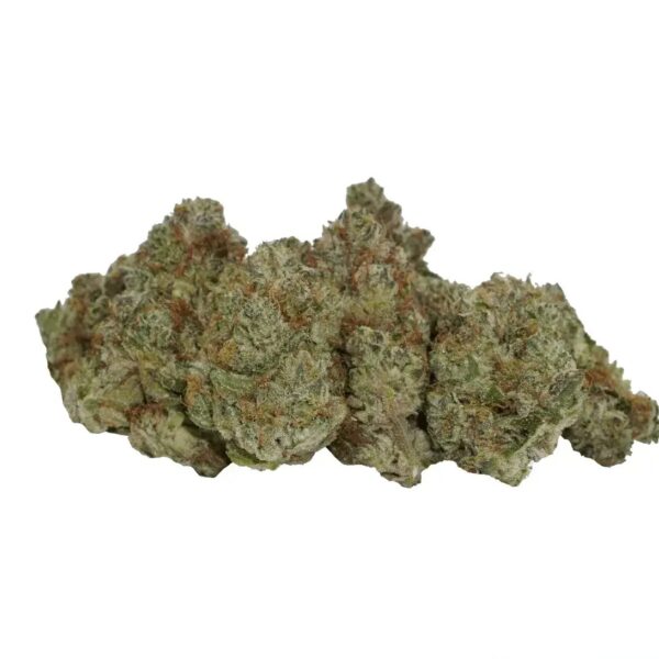 avaay Signature 34/1 OGC Ocean Grown Cookies