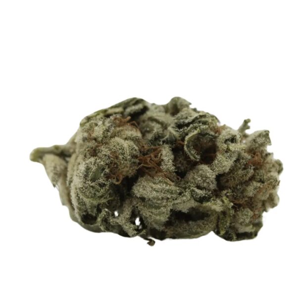 Balancial 21/1 PT Purple Dream