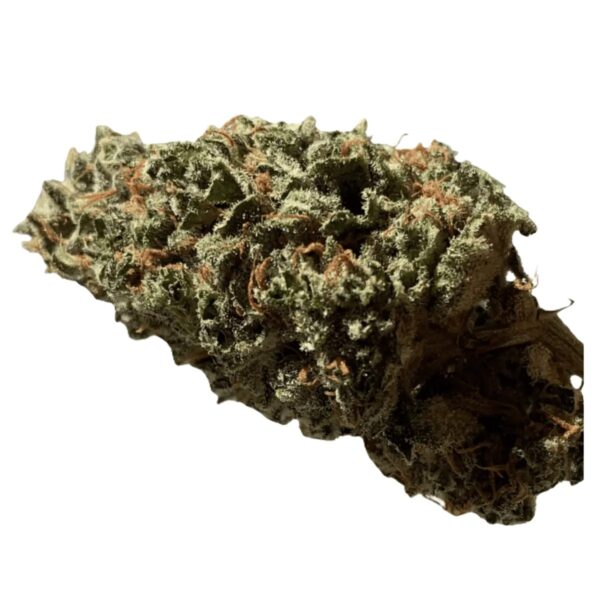 Barongo 26/1 LAK LA KUSH