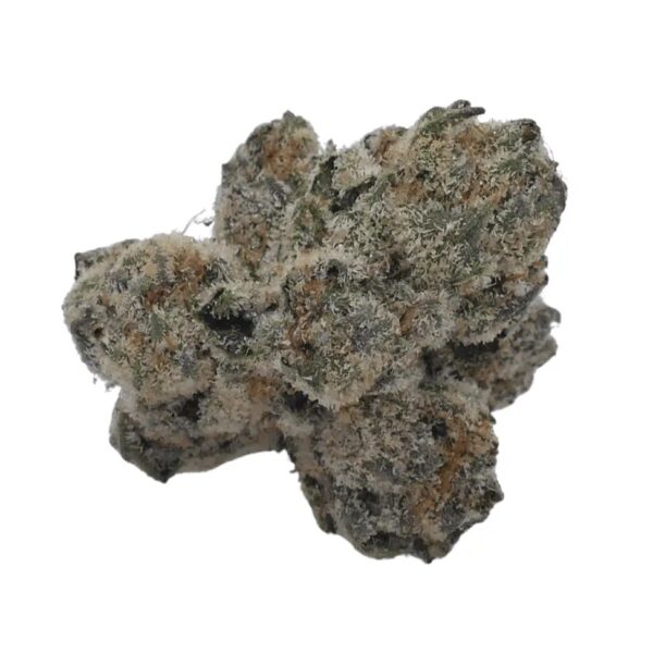 Barongo 26/1 SSS Sunset Strudel