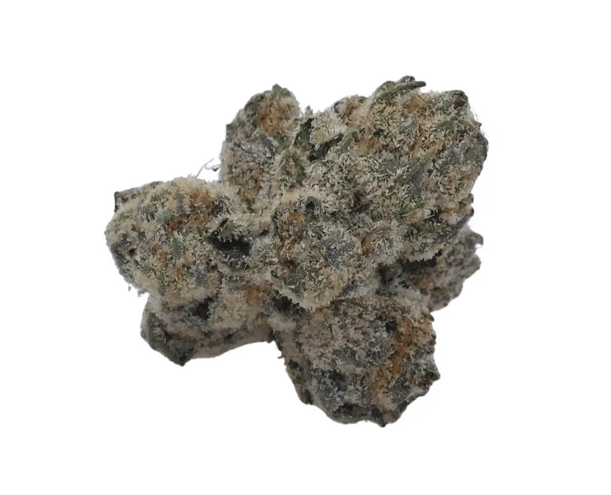 barongo-26-1-sss Barongo 26/1 SSS Sunset Strudel – Bild 1