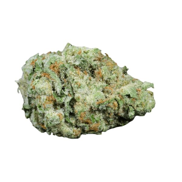 Barongo 28/1 Cali Motion LA Animal