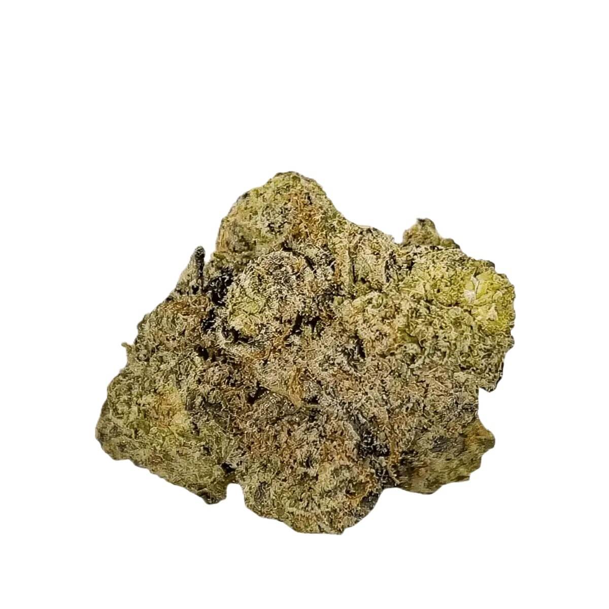 barongo-28-1-dr Barongo 28/1 DR El Jefe – Bild 1