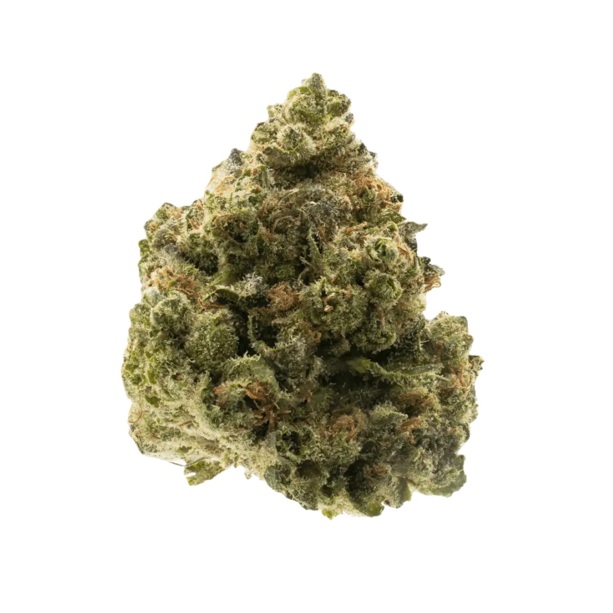 barongo-28-1-sr Barongo 28/1 SR Skitlz Runtz – Bild 1