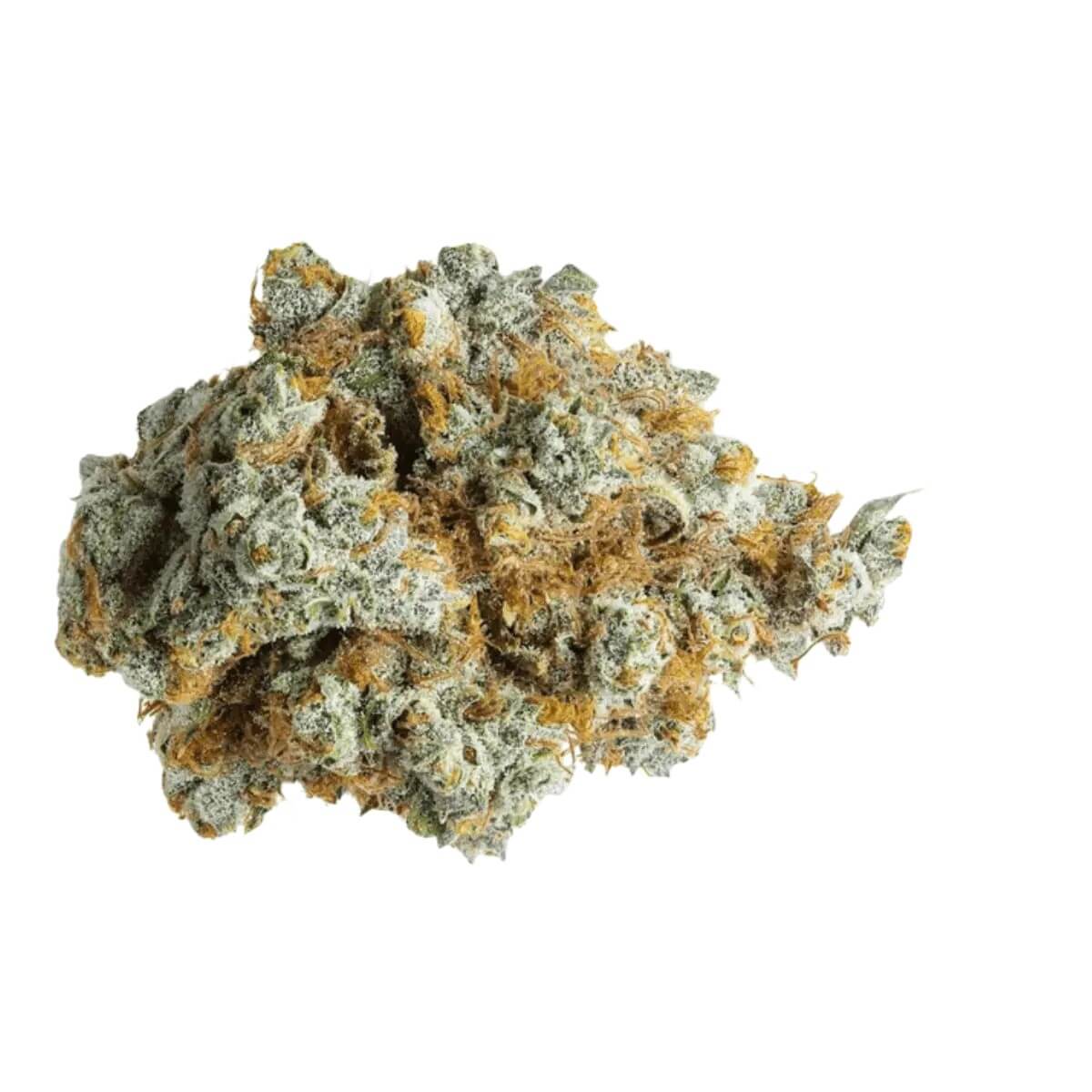 barongo-30-1-ecc Barongo 30/1 ECC Cheddar Cheese – Bild 1