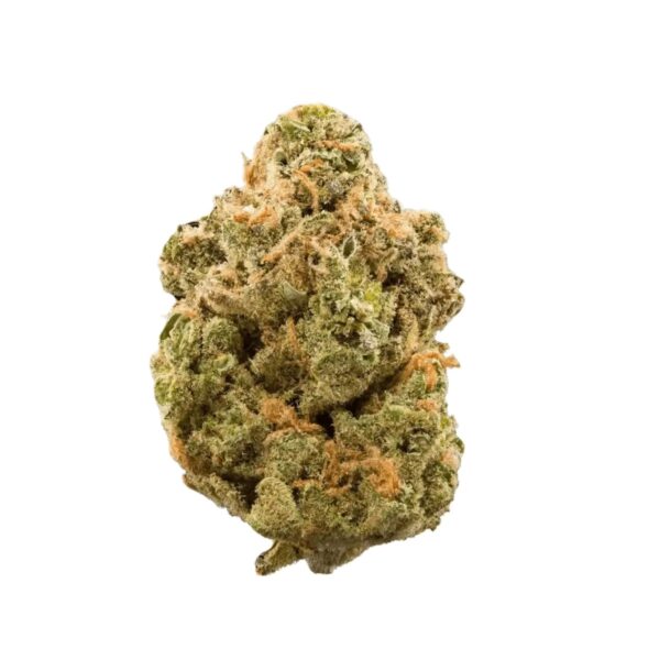 Bathera 23/1 DS Dank Sinatra