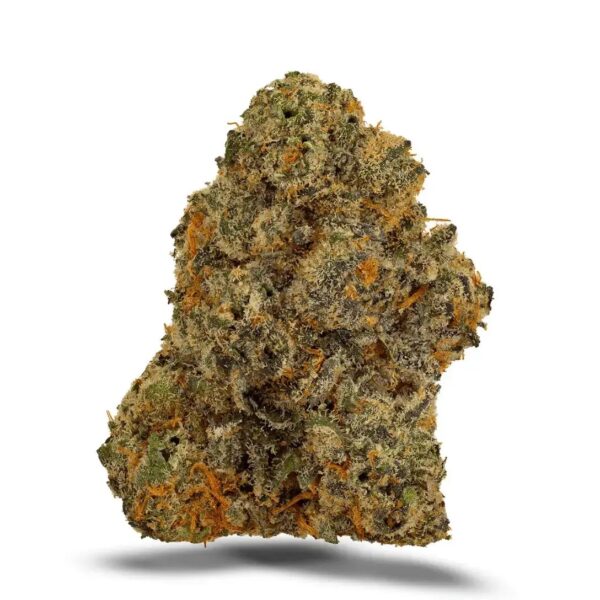 Bathera 23/1 Permanent Marker